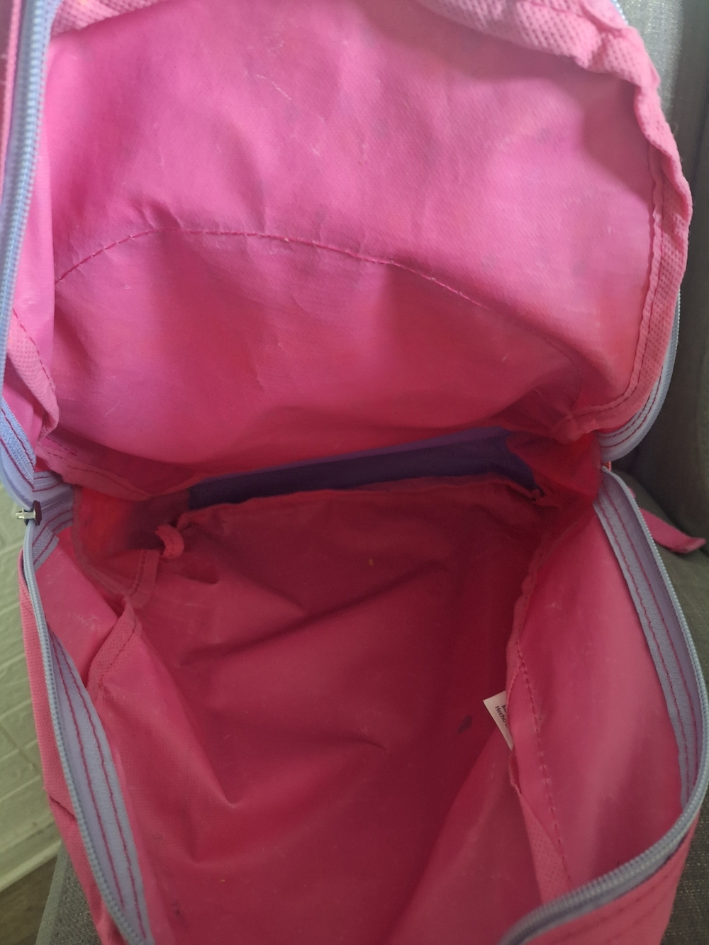 Everyday Pink Women's Backpack Organizer